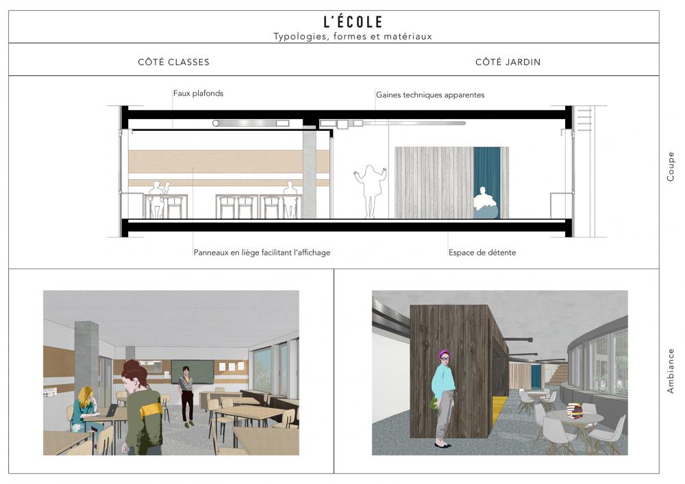 coupe et images du projet les classes et le jardin